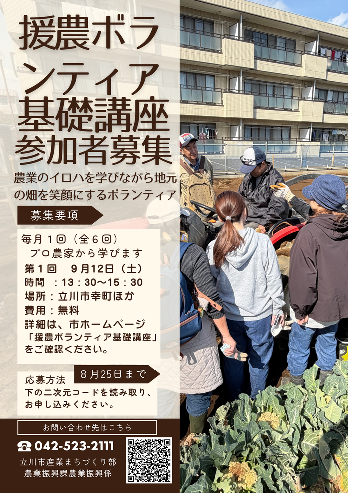 チラシ