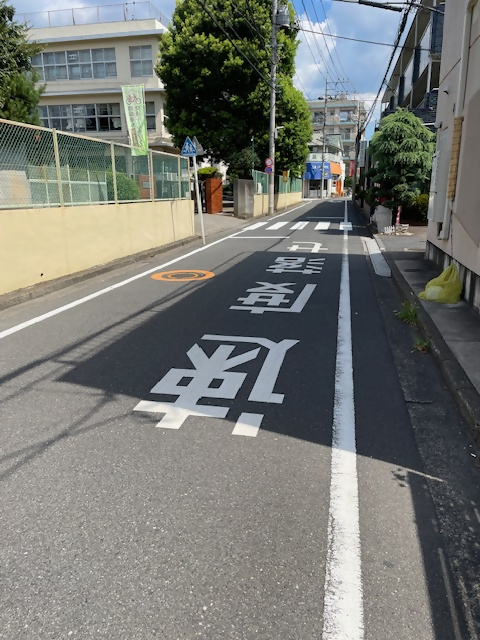写真：小学校東側道路(スクールゾーン)（対策実施前）