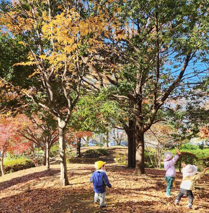 写真：外出時の様子