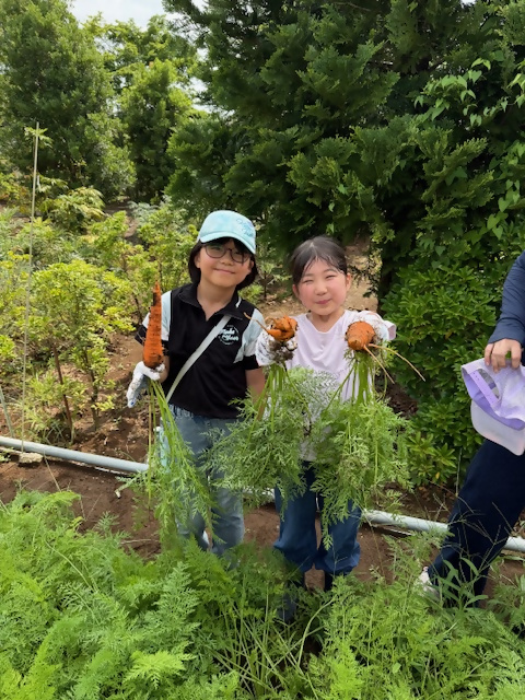 姉妹で人参を収穫した様子