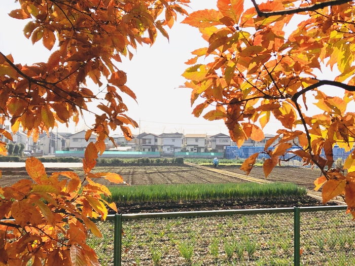 第1回立川市長賞