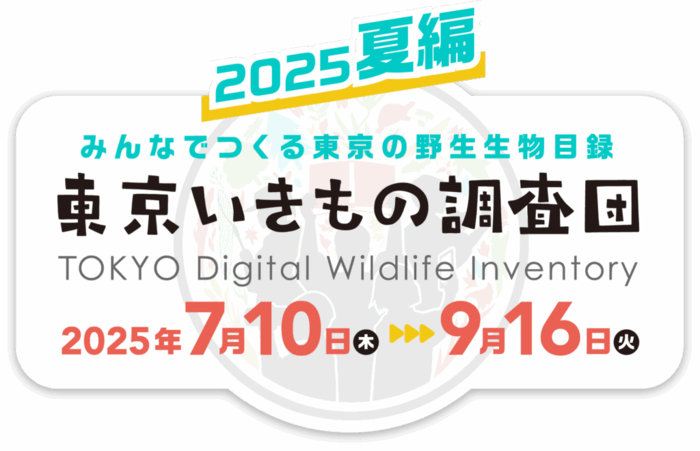 東京いきもの調査団2025夏