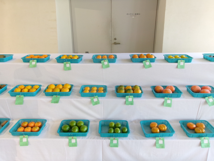 農産物品評会の写真2