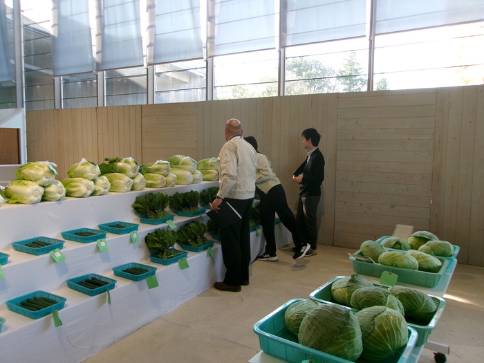 農産物品評会の審査の様子6