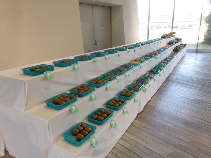 農産物品評会の写真1