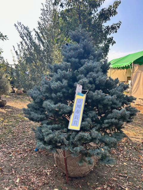 植木　立川市長賞