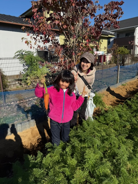 親子でニンジンの収穫をしている様子