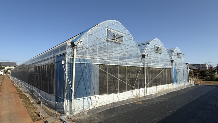 写真：ビニールハウス