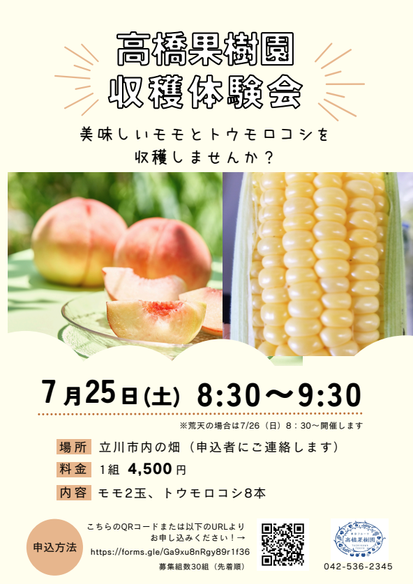 チラシ