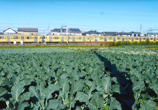 写真：第7回農フォトコン市長賞「やさい畑は電車の音」