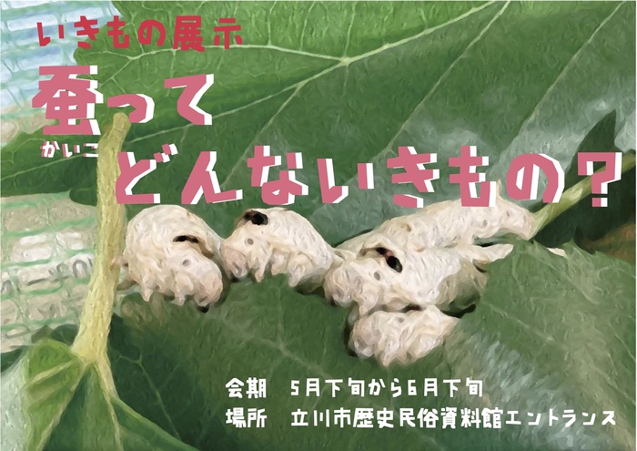 いきもの展示「蚕ってどんないきもの?」ポスター