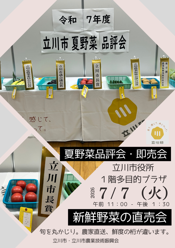 チラシ