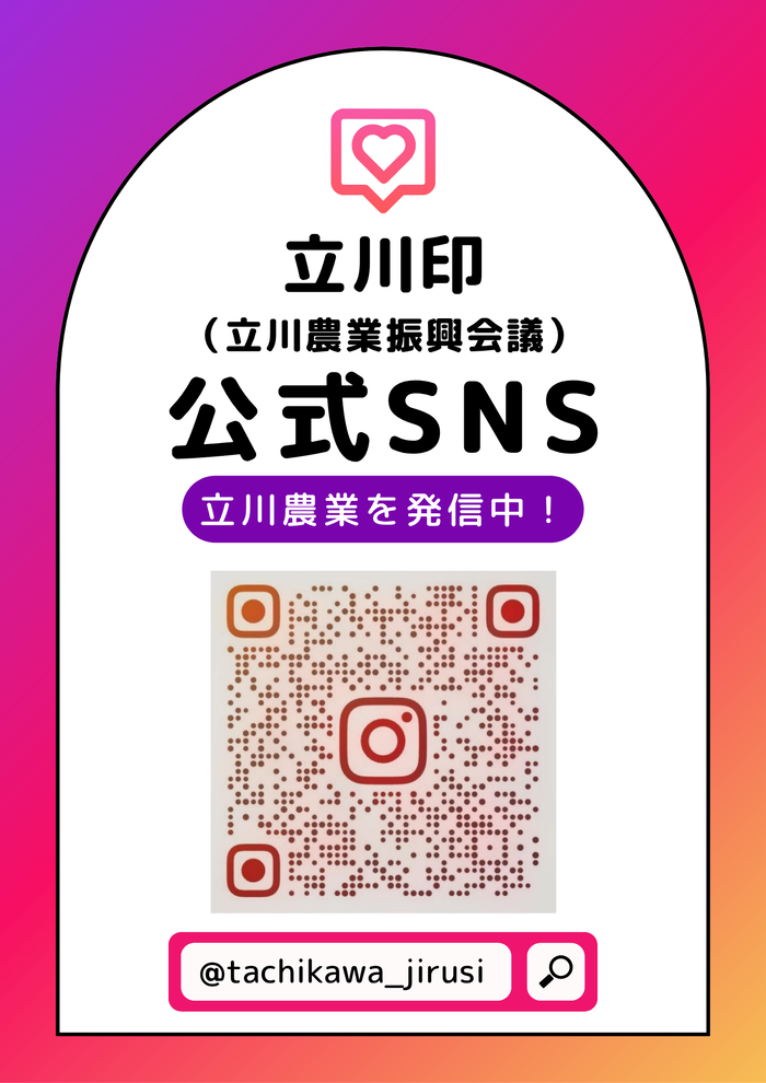 チラシ