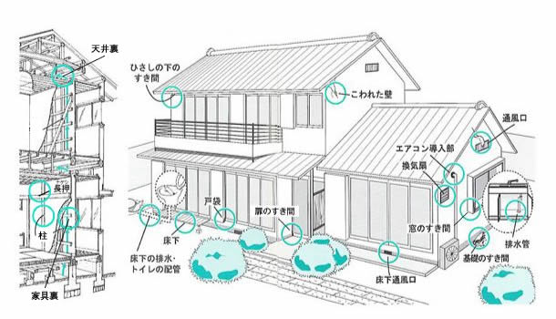 ねずみの侵入口になりやすい箇所（イラスト）