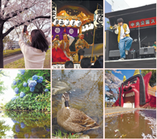 立川市のいろいろな写真