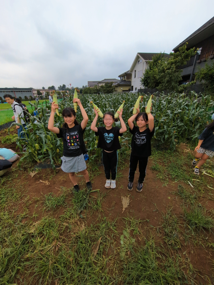 トウモロコシ収穫3人組