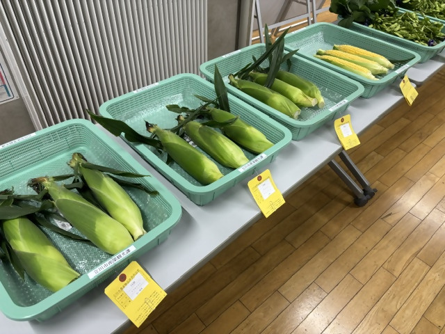 トウモロコシ