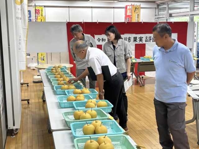 審査中1