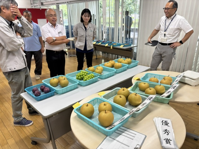 審査中2