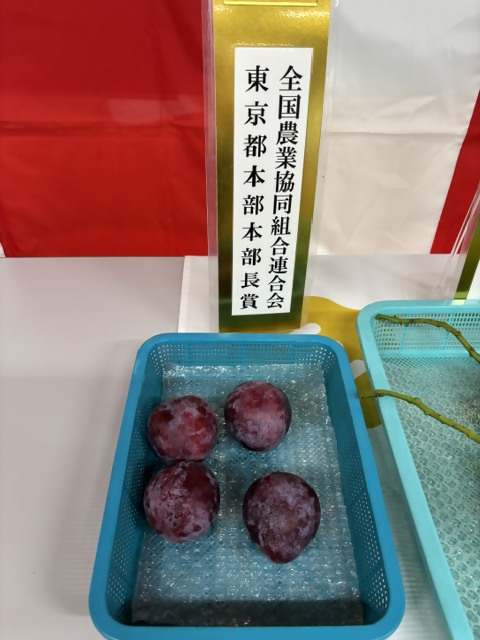 6位