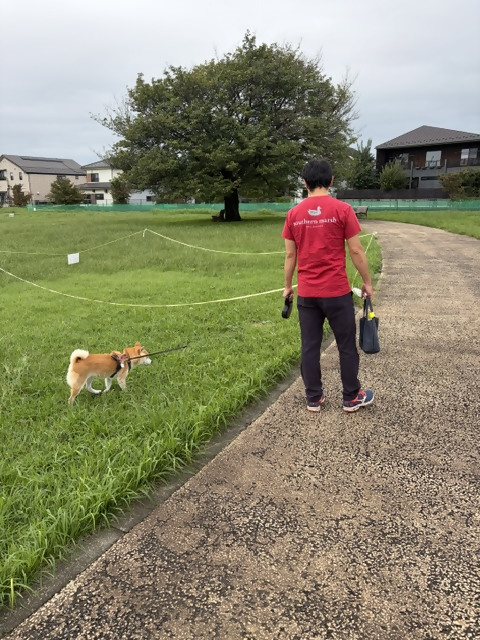 散歩