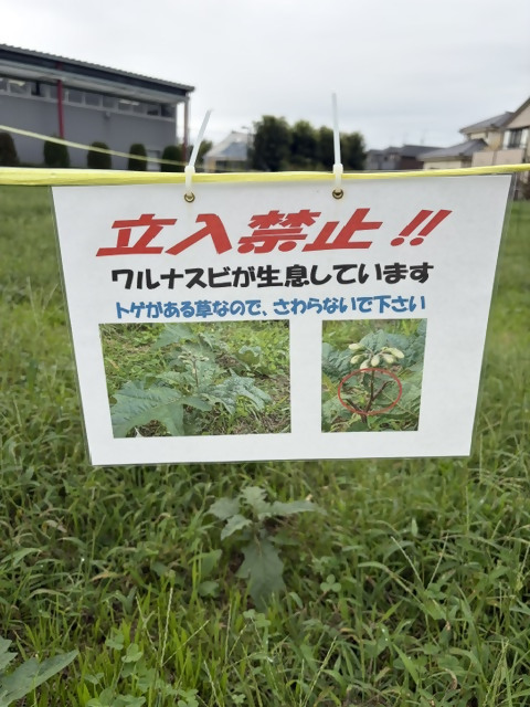 立入禁止