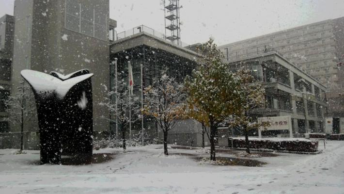 雪の日に撮影された市役所の写真