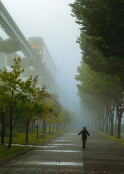 霧の中を走る多摩都市モノレールの写真