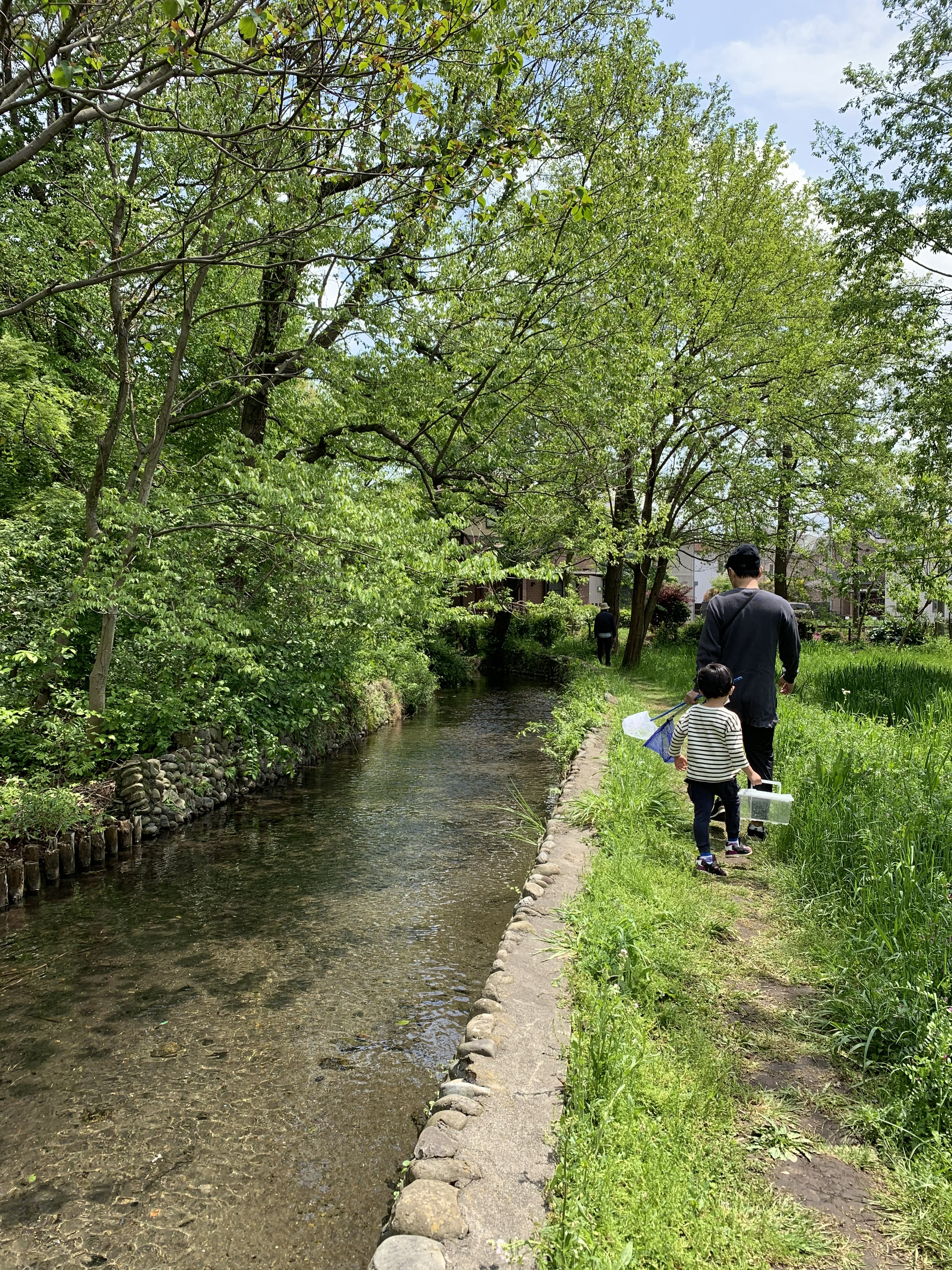 矢川緑地を歩く親子の写真